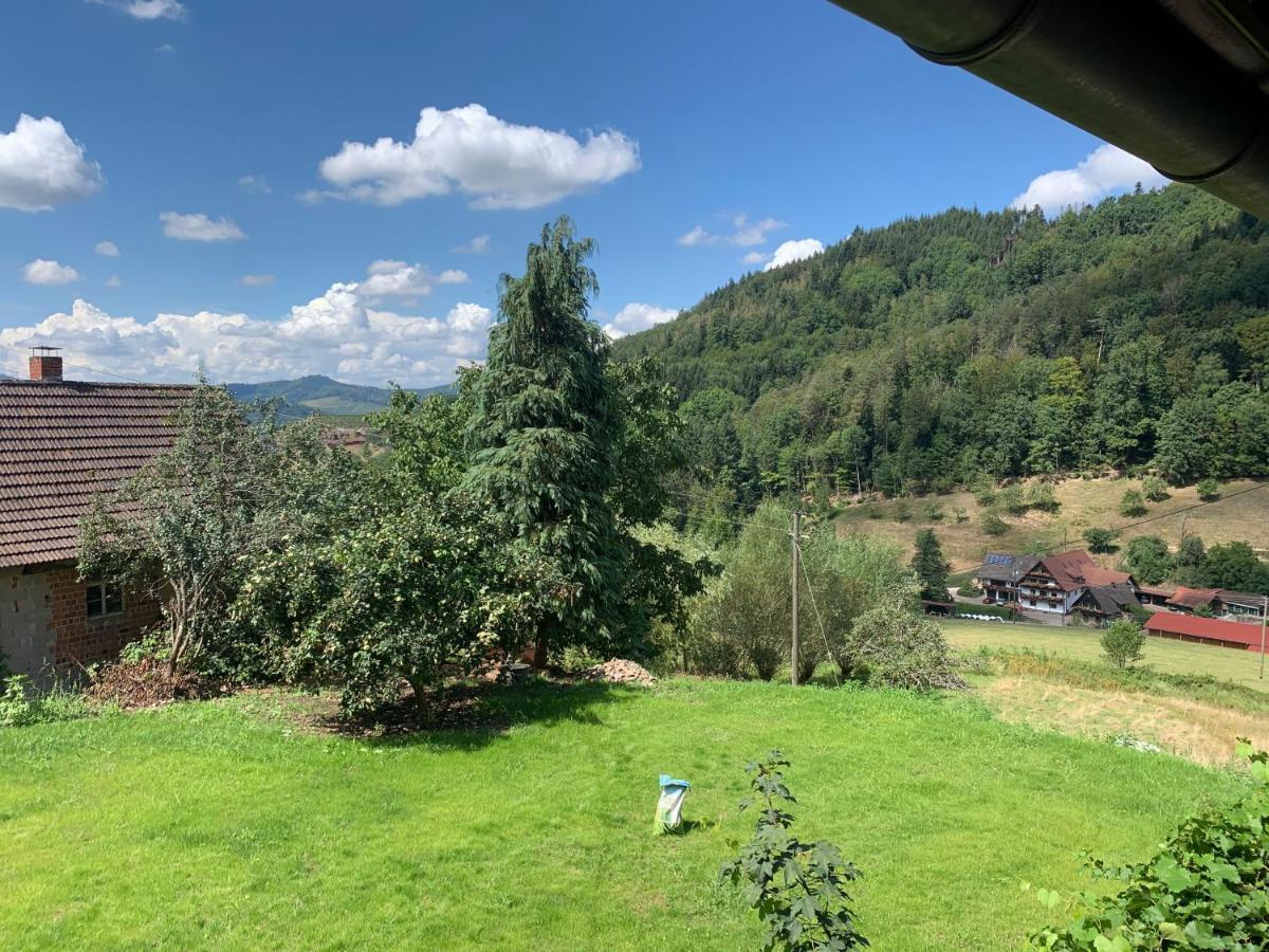 Appartement Haus Nilson à Gengenbach Extérieur photo