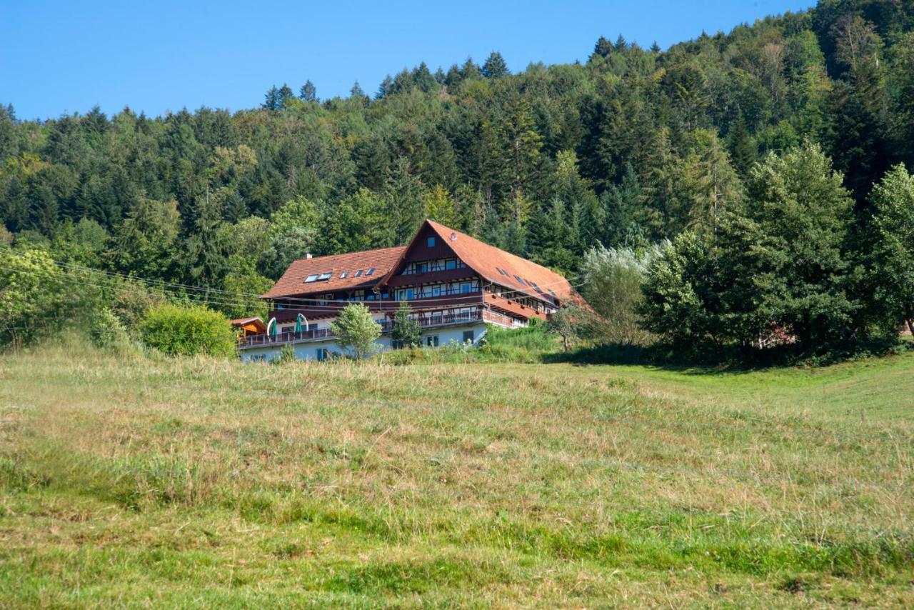 Appartement Haus Nilson à Gengenbach Extérieur photo