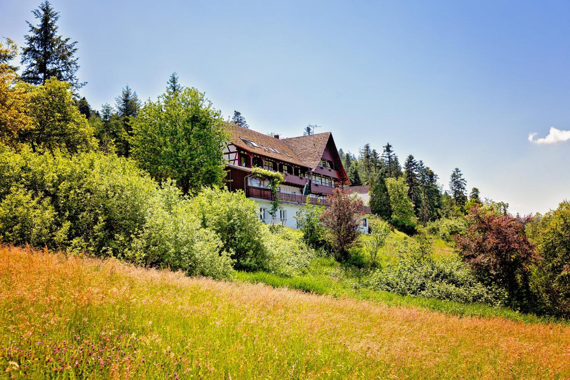 Appartement Haus Nilson à Gengenbach Extérieur photo
